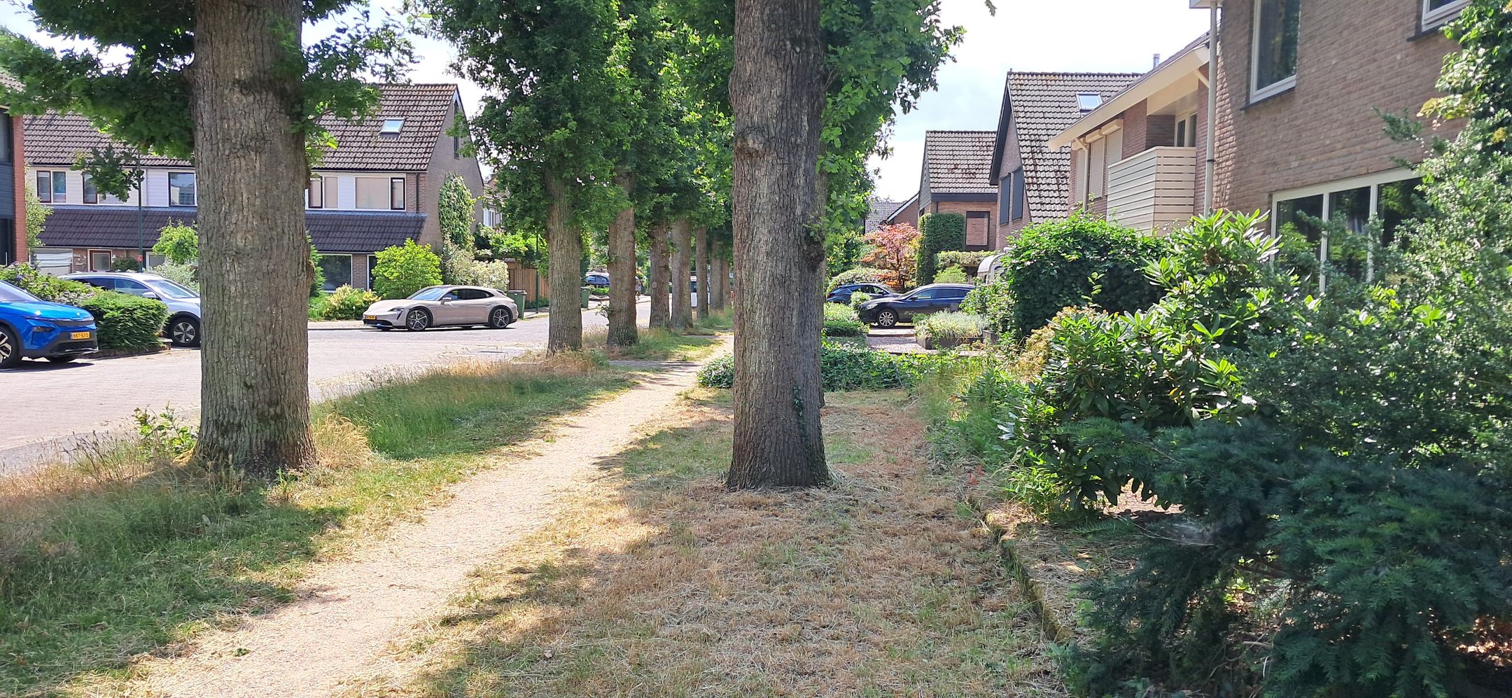 Foto 3 van Valreep 10