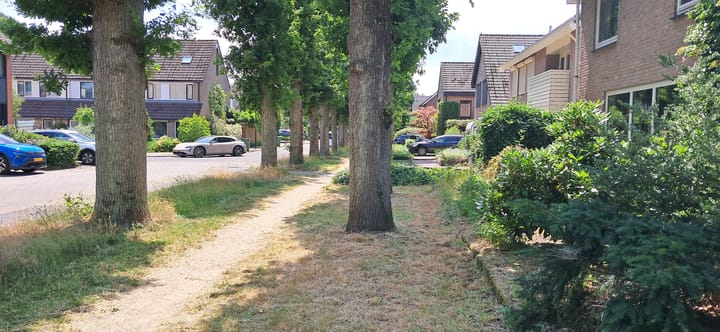 Foto 3 van Valreep 10