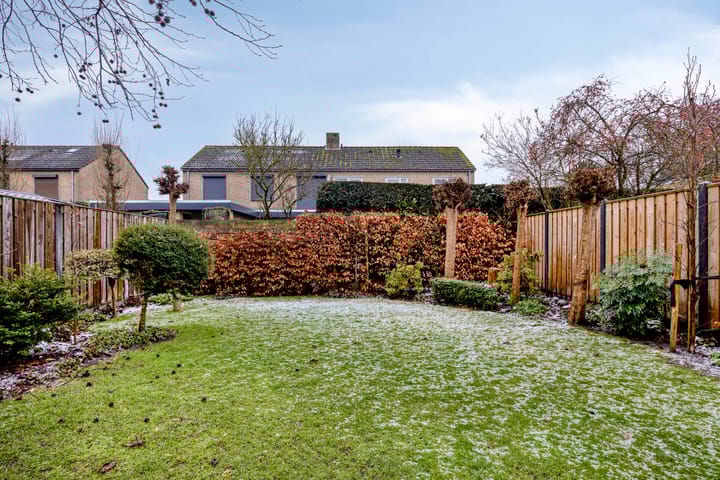 Foto 30 van Moerbeilaan 6