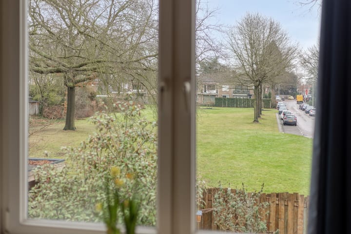 Foto 19 van S.L. Louwesstraat 179