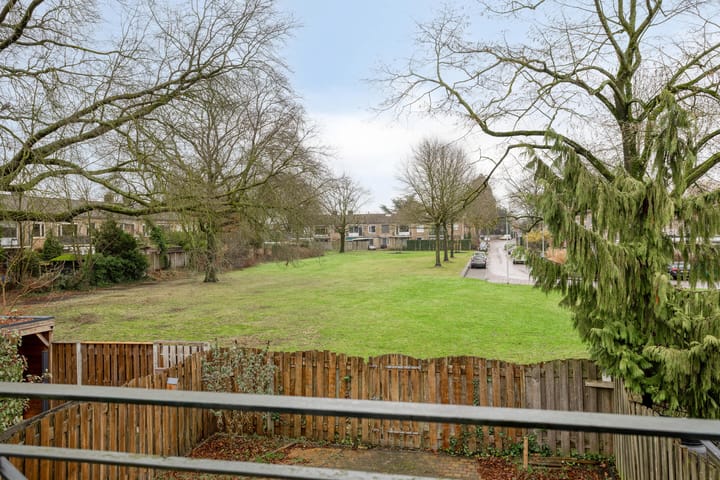 Foto 26 van S.L. Louwesstraat 179