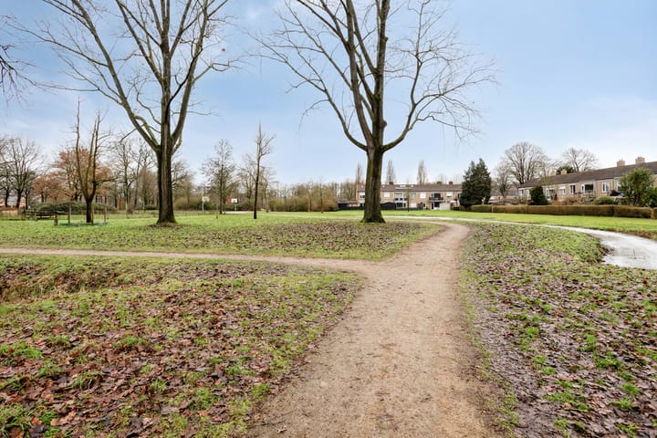 Foto 30 van S.L. Louwesstraat 179