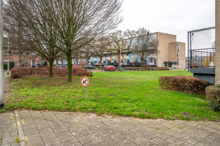 Foto 43 van Xylofoonpad 7