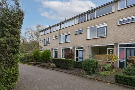 van Essenstraat thumbnail