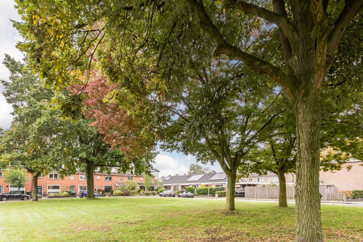 Foto 45 van Erasmusstraat 21