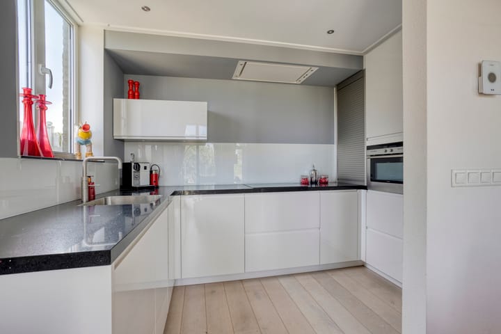 Foto 4 van Zilvermeeuw 34