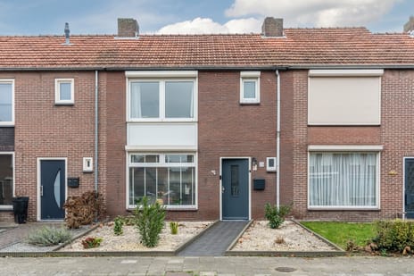 undefined main image