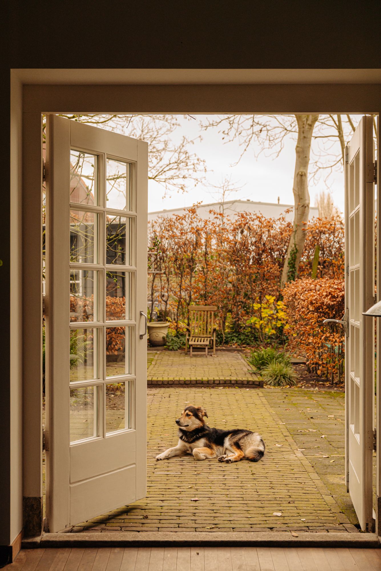 Foto 29 van Zaaiersweg 95