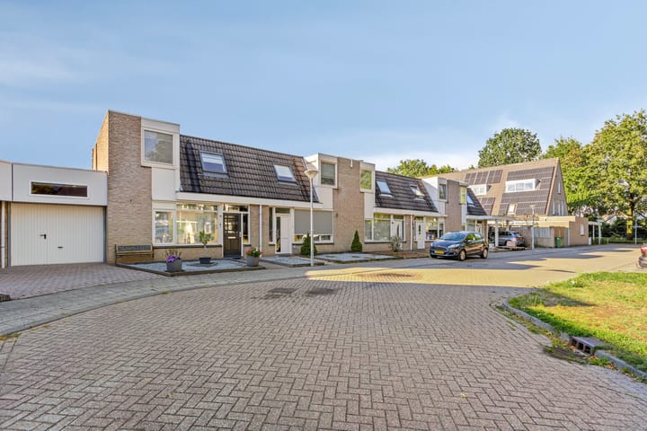 Foto 6 van Ekster 20