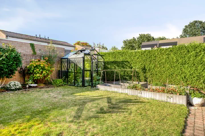 Foto 31 van Ekster 20