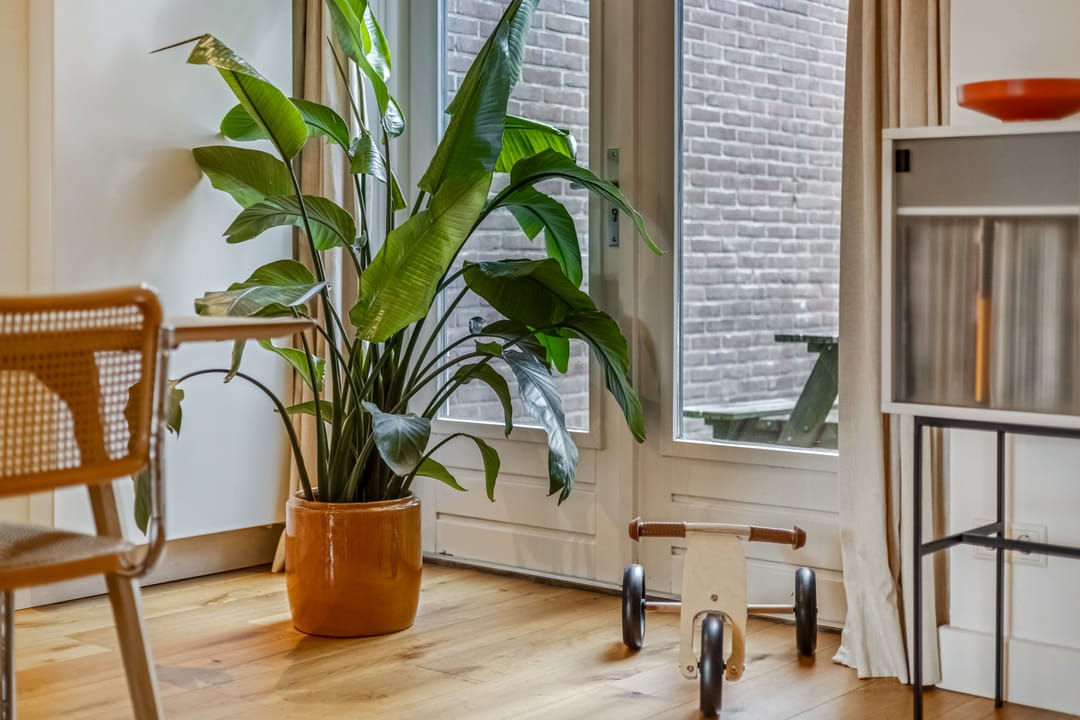 Foto 11 van Hatertseweg 116