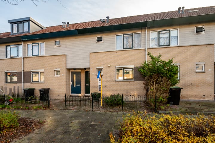 Foto 38 van Anna Pavlovastraat 30