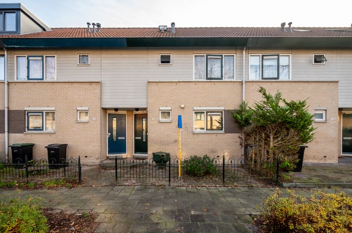 Foto 47 van Anna Pavlovastraat 30