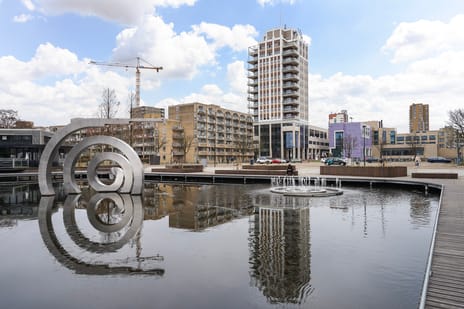 undefined main image