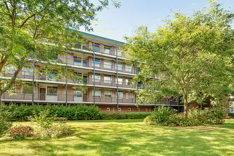 Banckertlaan thumbnail