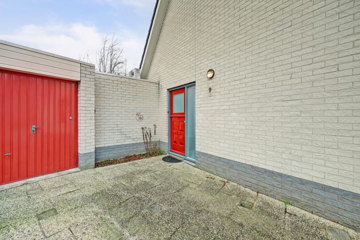 Foto 4 van de Aalbes 9