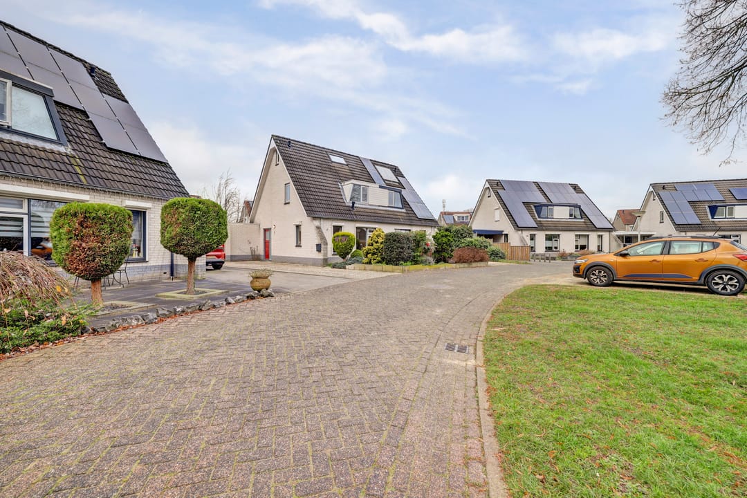 Foto 2 van de Aalbes 9