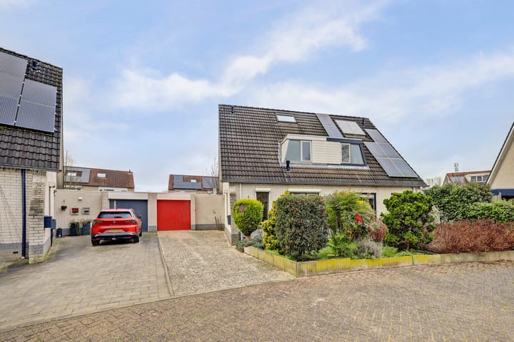 Foto 3 van de Aalbes 9