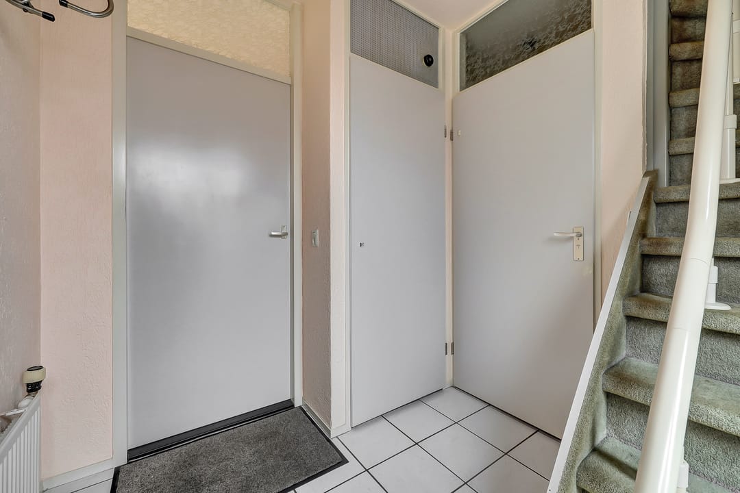 Foto 7 van de Aalbes 9