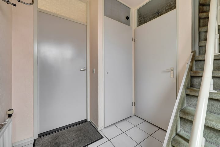 Foto 7 van de Aalbes 9