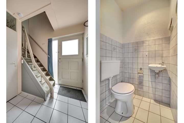 Foto 6 van de Aalbes 9