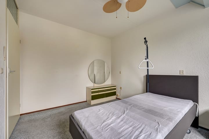 Foto 21 van de Aalbes 9