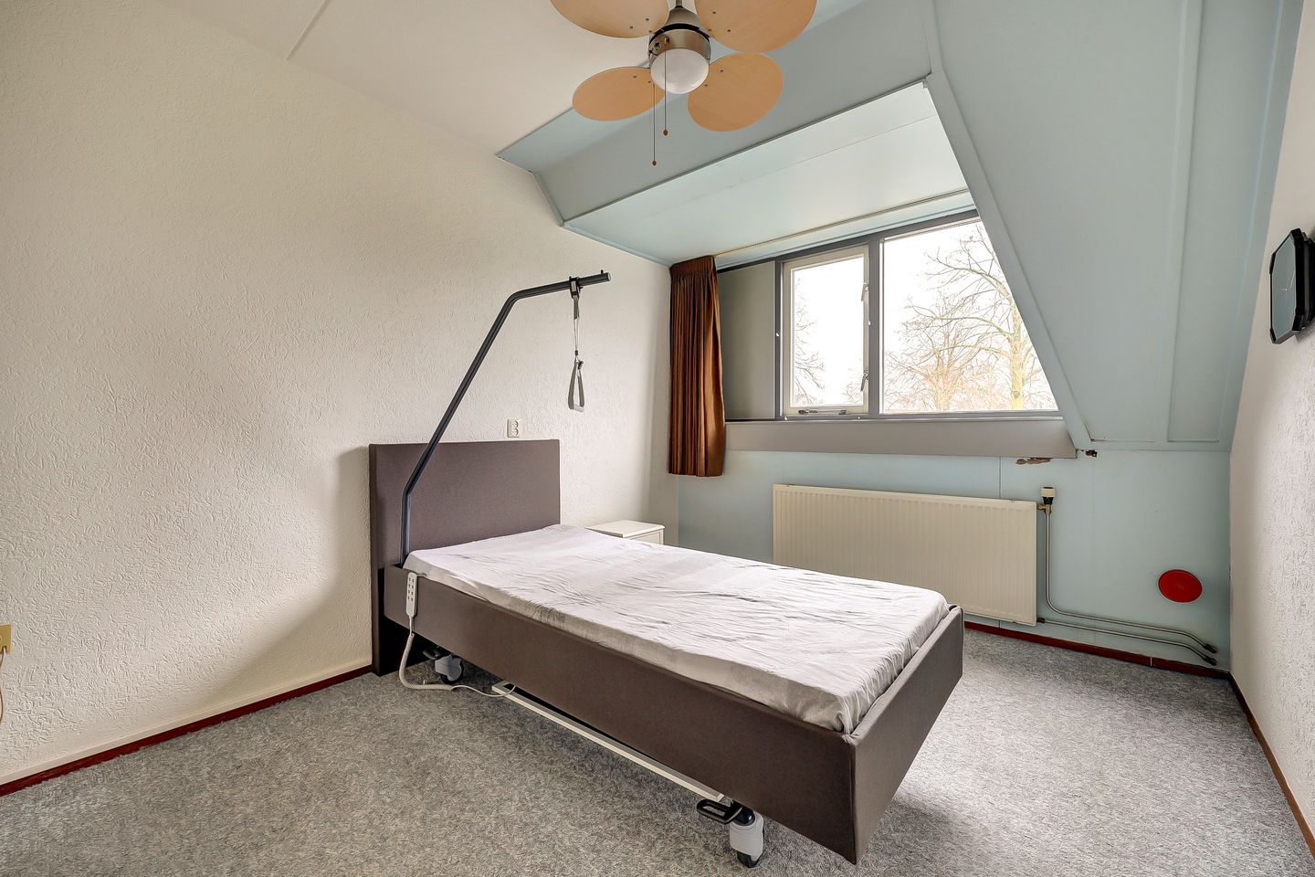 Foto 25 van de Aalbes 9