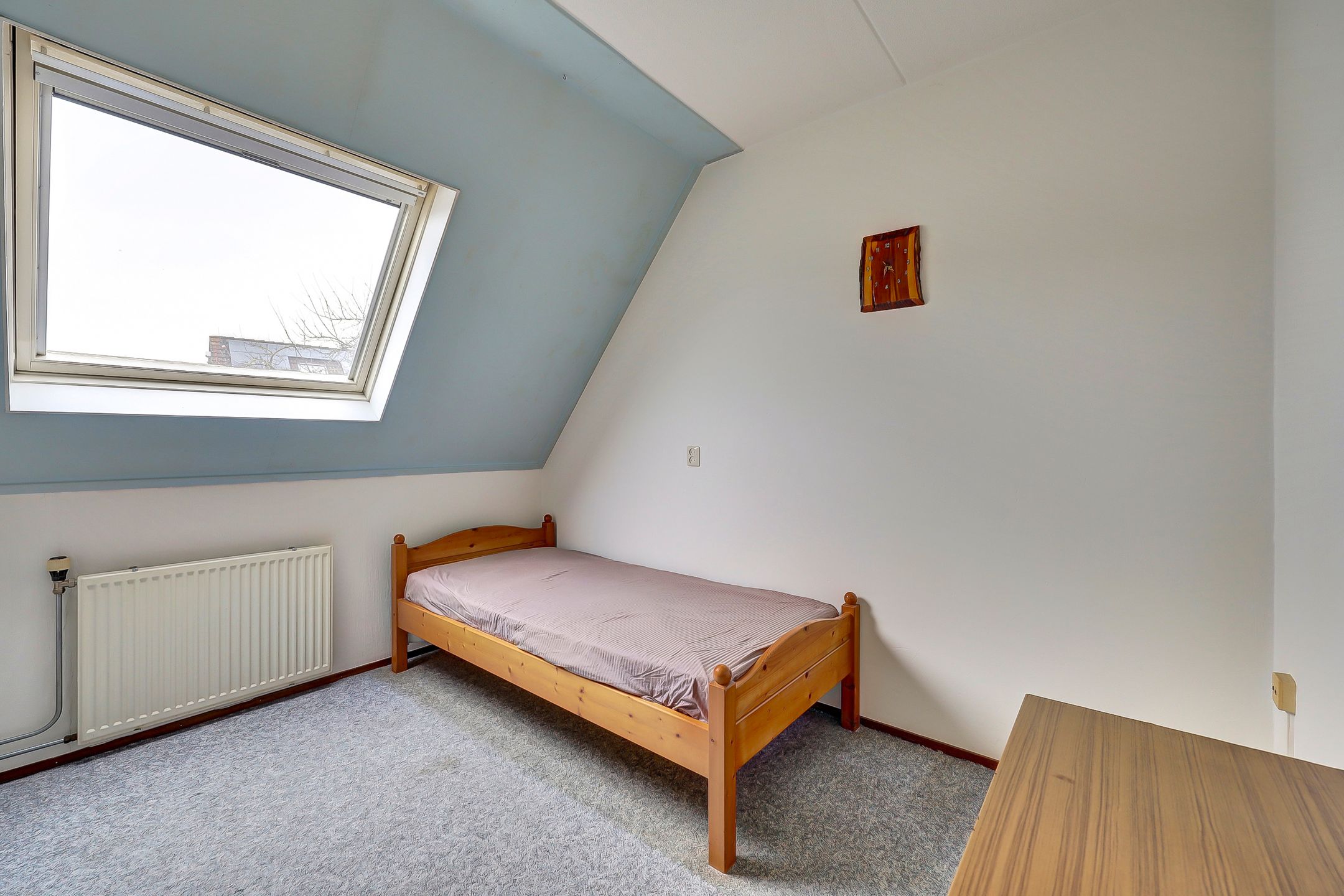 Foto 27 van de Aalbes 9