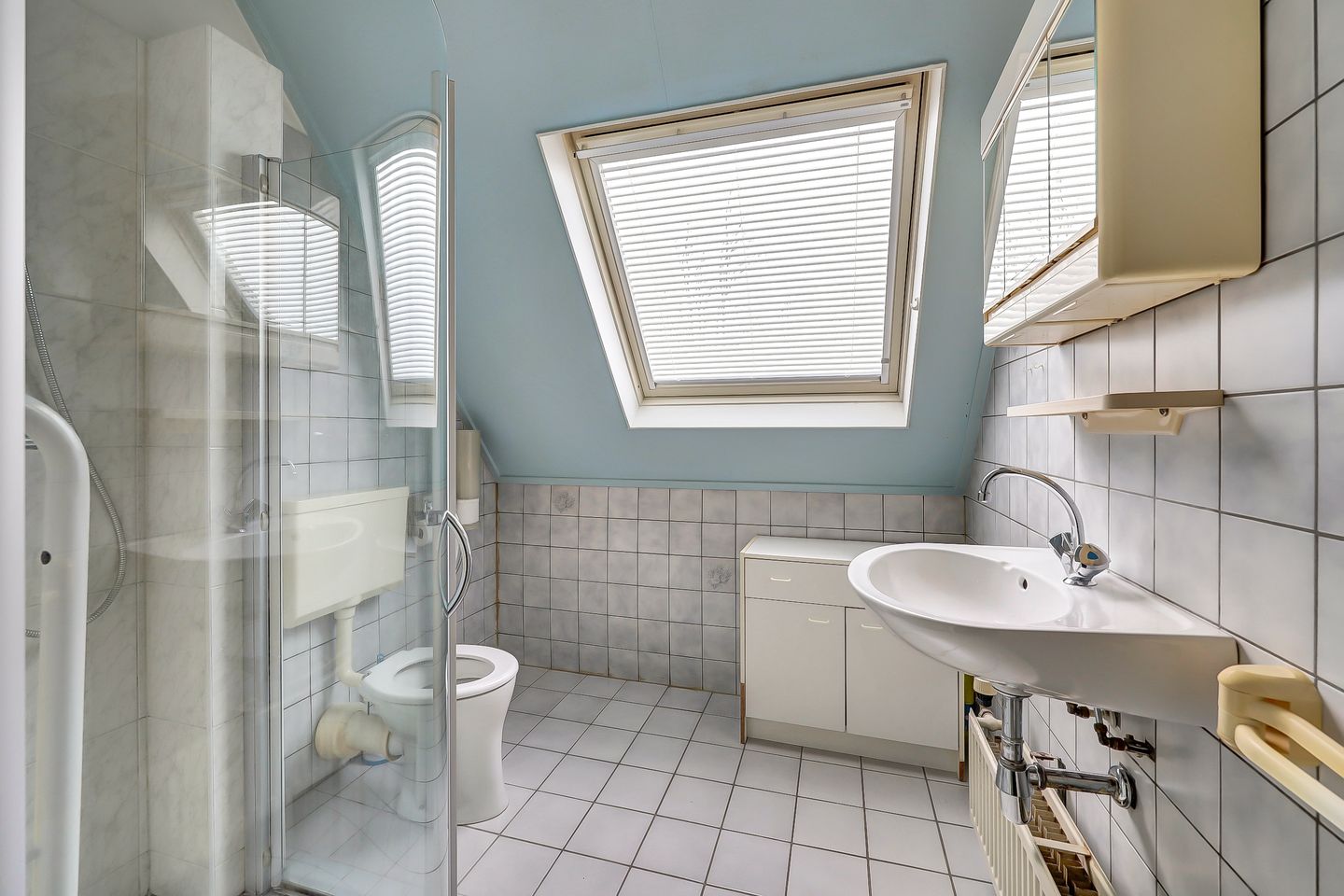 Foto 29 van de Aalbes 9