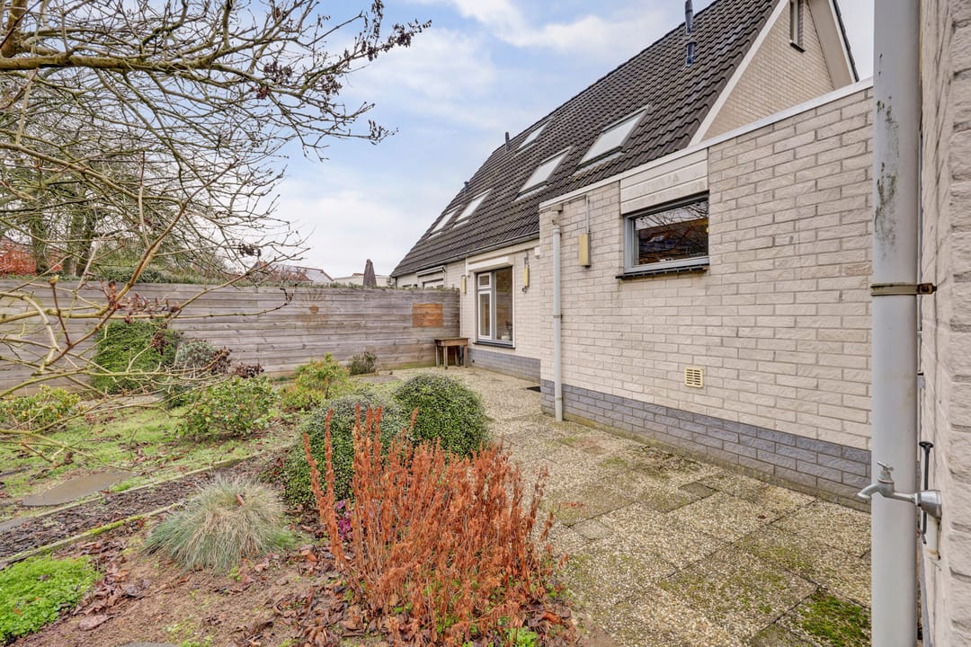 Foto 37 van de Aalbes 9