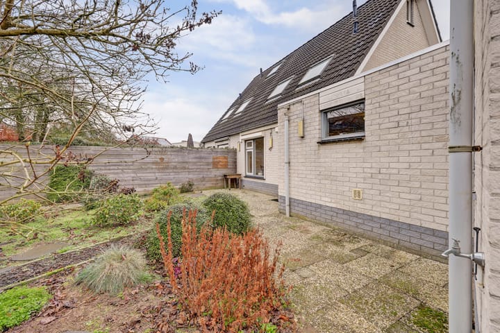 Foto 37 van de Aalbes 9