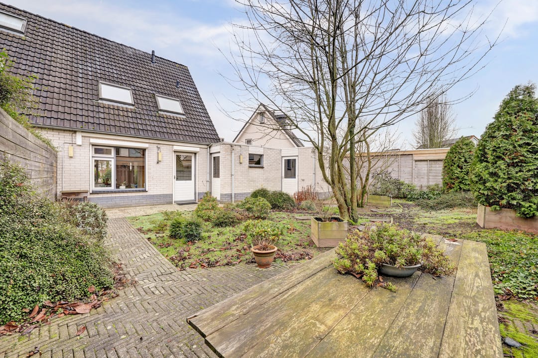 Foto 38 van de Aalbes 9