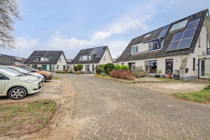 Foto 41 van de Aalbes 9