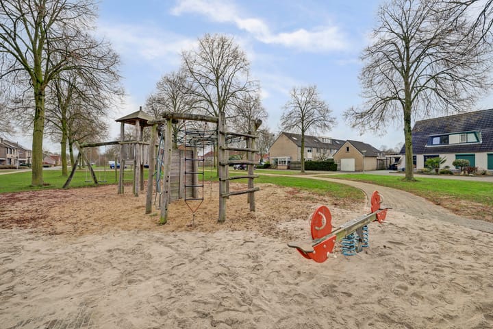 Foto 42 van de Aalbes 9