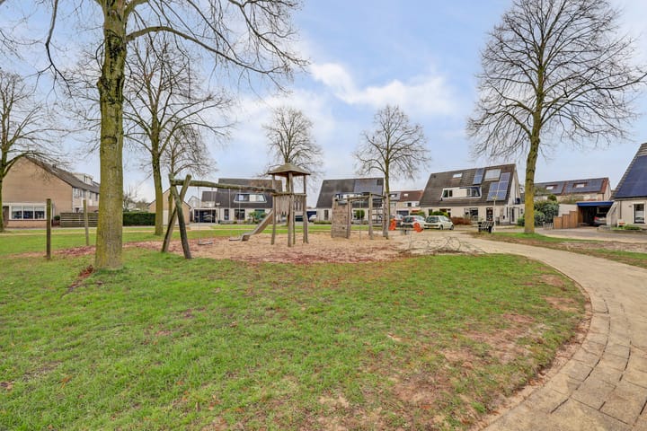 Foto 43 van de Aalbes 9