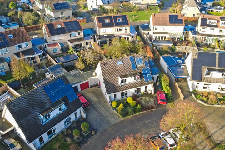 Foto 45 van de Aalbes 9