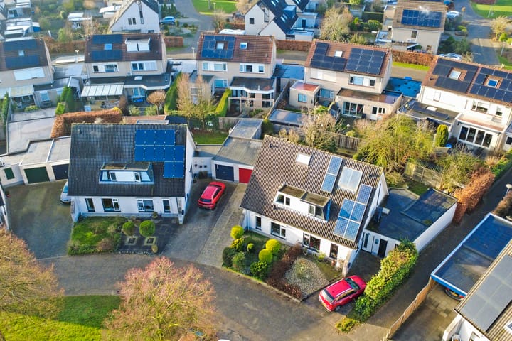 Foto 46 van de Aalbes 9