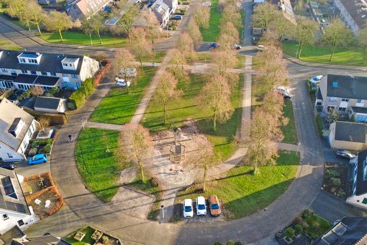 Foto 49 van de Aalbes 9