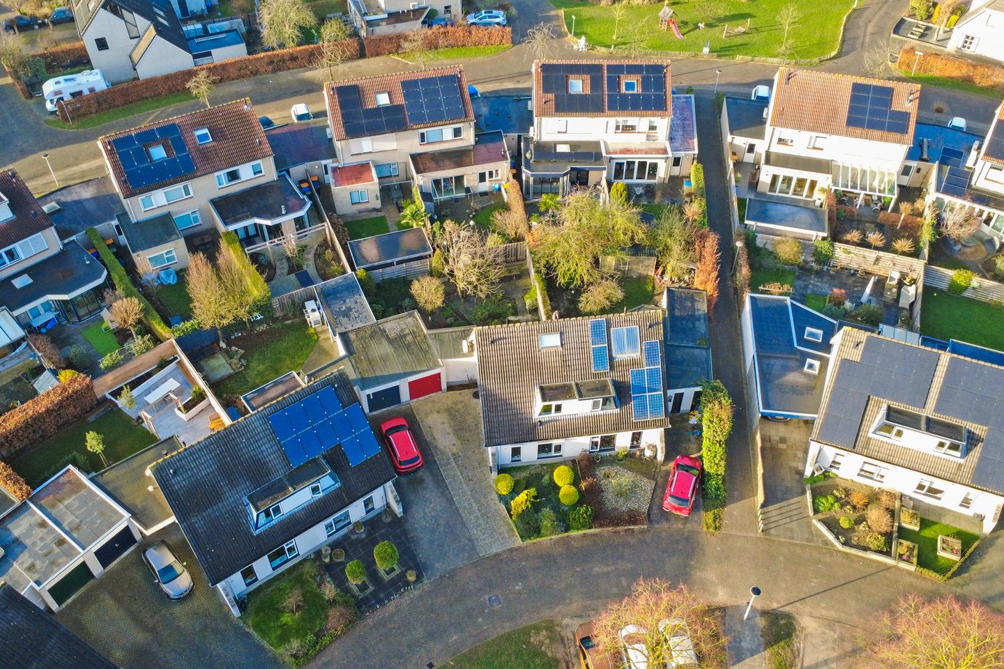 Foto 50 van de Aalbes 9