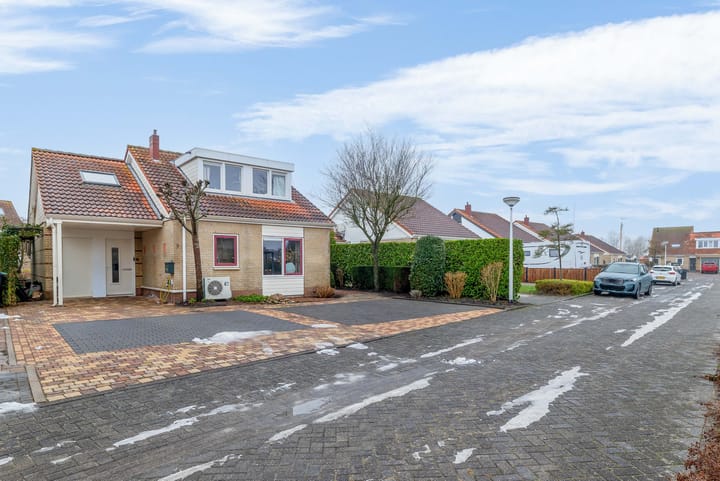 Foto 1 van Scholekster 9