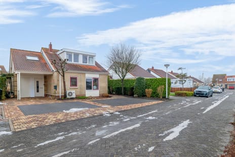 Scholekster thumbnail