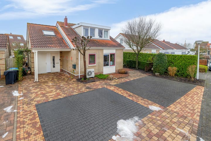 Photo 4 of Scholekster 9