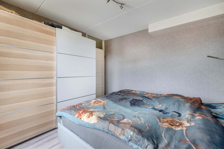 Foto 20 van Scholekster 9