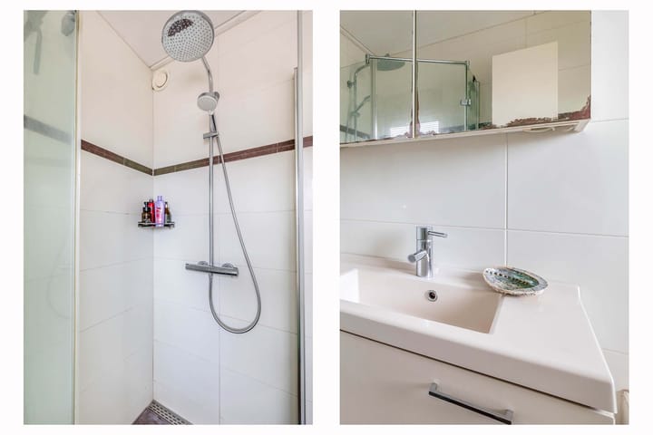 Foto 23 van Scholekster 9