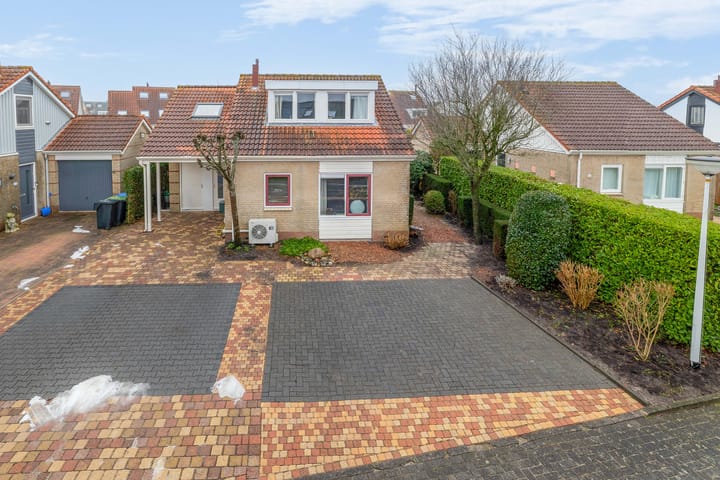 Foto 36 van Scholekster 9