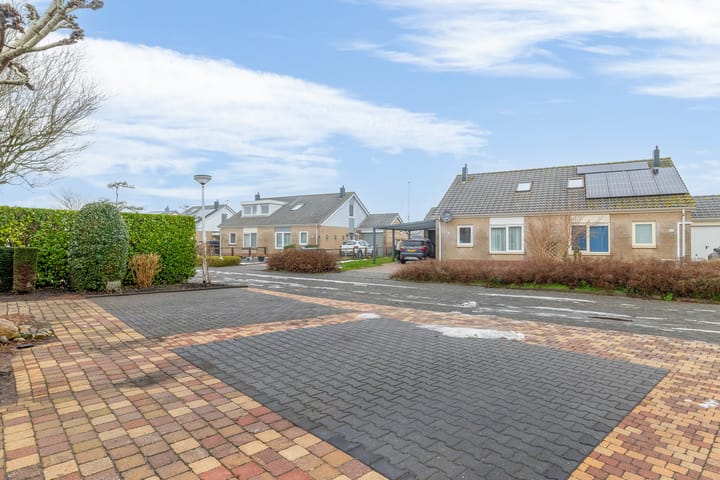 Foto 38 van Scholekster 9