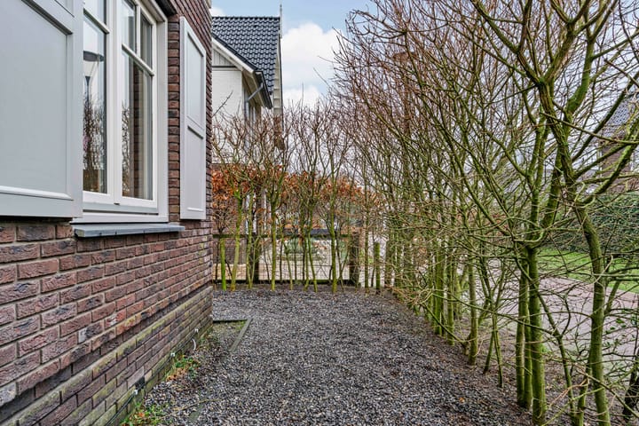 Foto 40 van Jasmijnlint 20