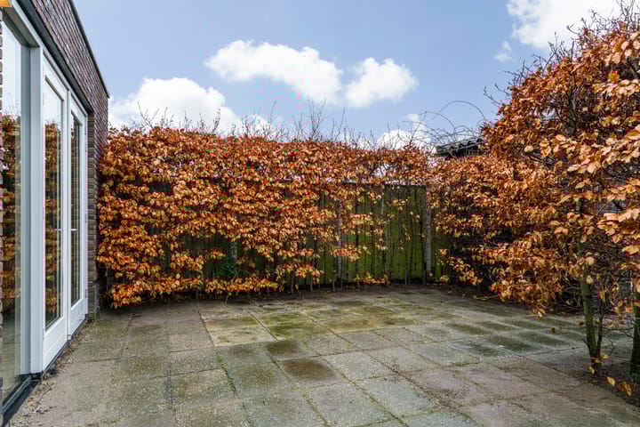 Foto 44 van Jasmijnlint 20