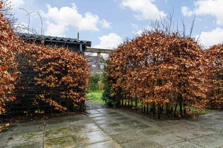 Foto 47 van Jasmijnlint 20