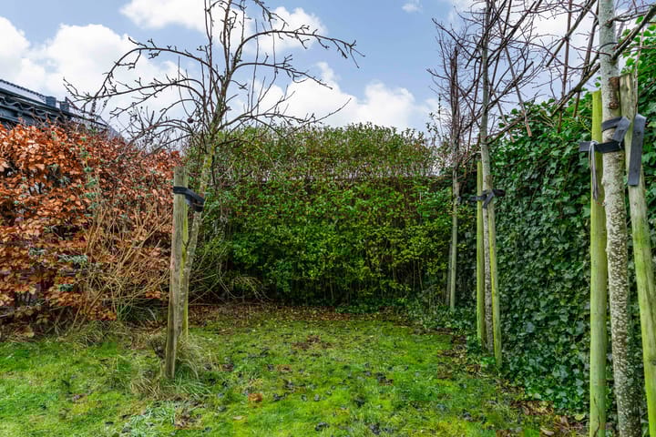 Foto 50 van Jasmijnlint 20